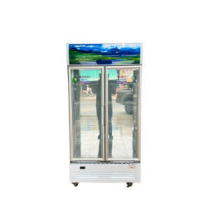 Tủ mát Sanaky inverter 900 lít VH-1009HP3 cũ